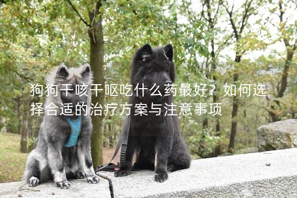 狗狗干咳干嘔吃什么藥最好？如何選擇合適的治療方案與注意事項