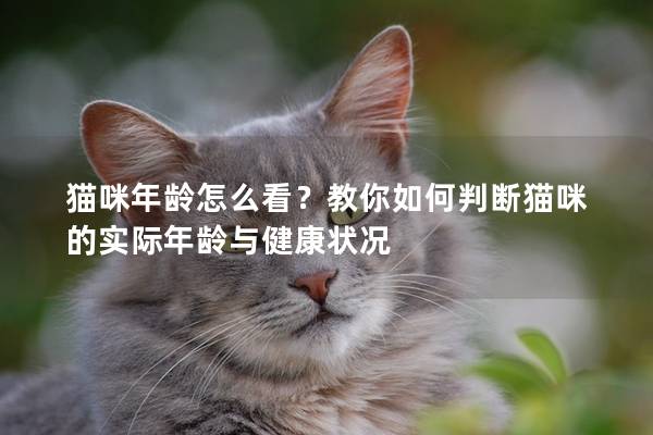 貓咪年齡怎么看?教你如何判斷貓咪的實際年齡與健康狀況 貓咪年齡怎么看?教你如何判斷貓咪的實際年齡與健康狀況