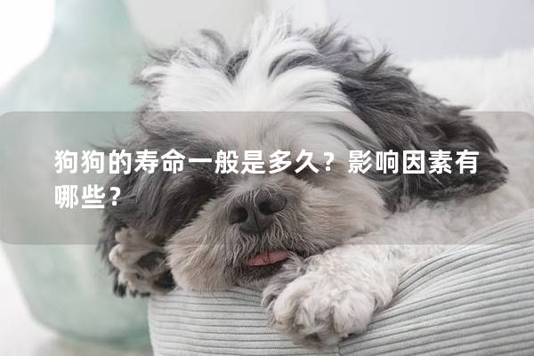 狗狗的壽命一般是多久？影響因素有哪些？