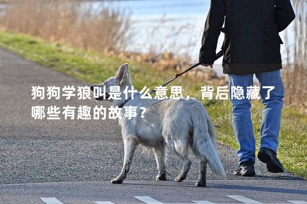 狗狗學狼叫是什么意思,背后隱藏了哪些有趣的故事? 狗狗學狼叫是什么意思,背后隱藏了哪些有趣的故事?