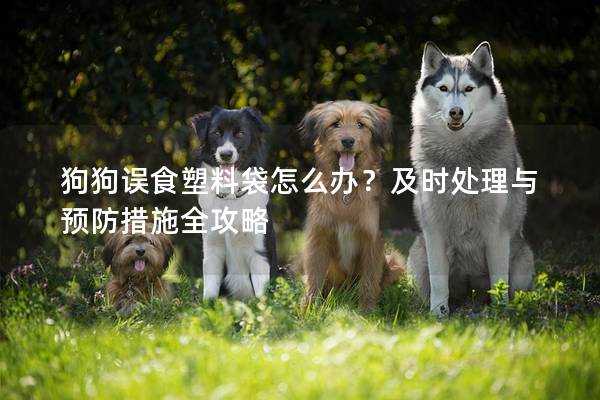 狗狗誤食塑料袋怎么辦？及時處理與預防措施全攻略