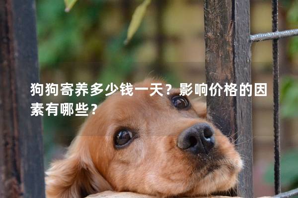 狗狗寄養多少錢一天？影響價格的因素有哪些？