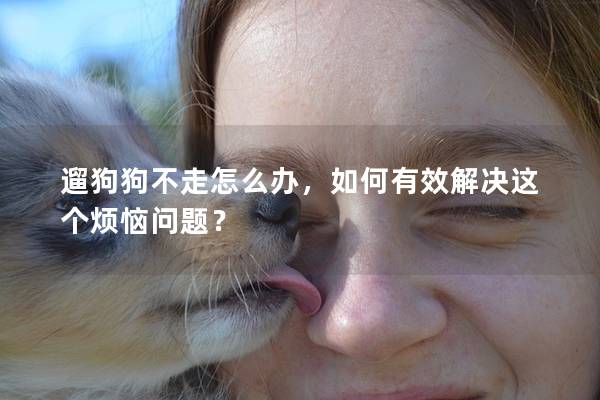 遛狗狗不走怎么辦，如何有效解決這個(gè)煩惱問題？