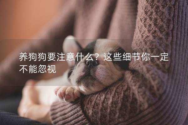 養(yǎng)狗狗要注意什么?這些細(xì)節(jié)你一定不能忽視 養(yǎng)狗狗要注意什么?這些細(xì)節(jié)你一定不能忽視