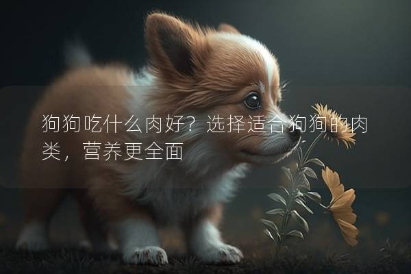 狗狗吃什么肉好?選擇適合狗狗的肉類,營養更全面 狗狗吃什么肉好?選擇適合狗狗的肉類,營養更全面
