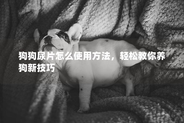 狗狗尿片怎么使用方法，輕松教你養狗新技巧