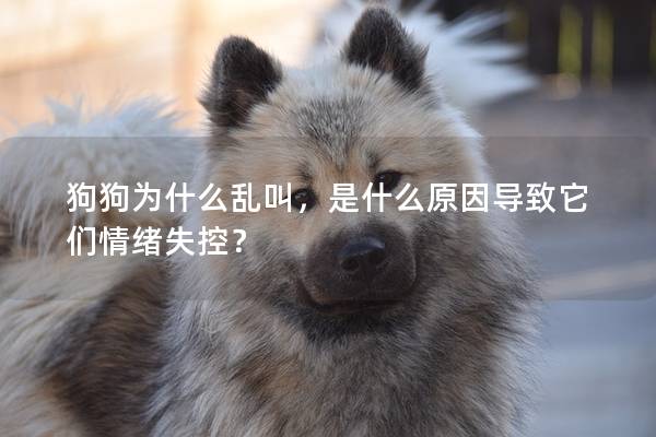 狗狗為什么亂叫,是什么原因導致它們情緒失控? 狗狗為什么亂叫,是什么原因導致它們情緒失控?