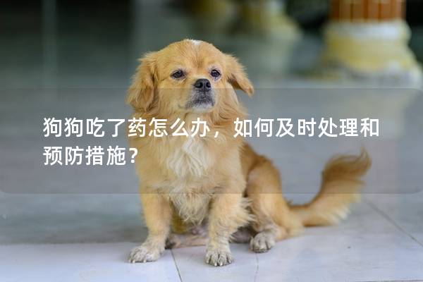 狗狗吃了藥怎么辦，如何及時處理和預防措施？