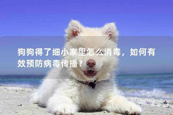 狗狗得了細小家里怎么消毒,如何有效預防病毒傳播?