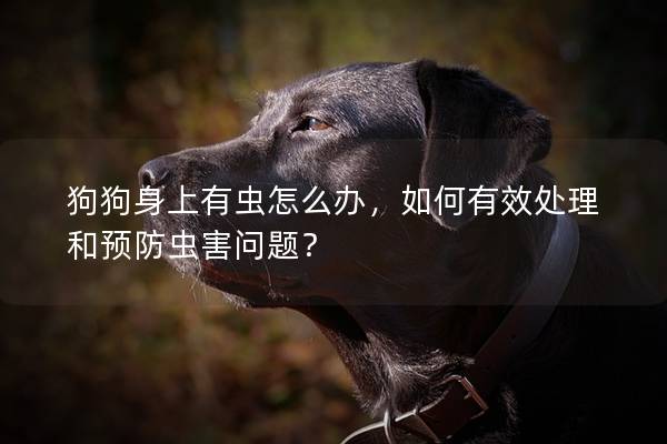 狗狗身上有蟲怎么辦，如何有效處理和預防蟲害問題？