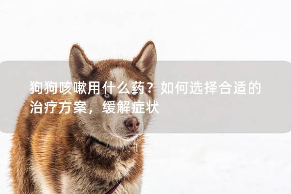 狗狗咳嗽用什么藥？如何選擇合適的治療方案，緩解癥狀