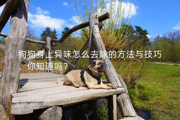 狗狗身上異味怎么去除的方法與技巧，你知道嗎？