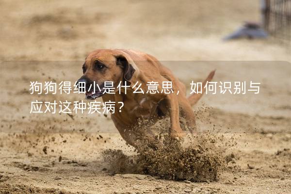 狗狗得細小是什么意思，如何識別與應對這種疾病？