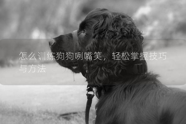 怎么訓練狗狗咧嘴笑，輕松掌握技巧與方法