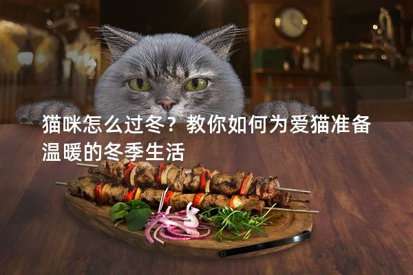 貓咪怎么過冬?教你如何為愛貓準備溫暖的冬季生活 貓咪怎么過冬?教你如何為愛貓準備溫暖的冬季生活