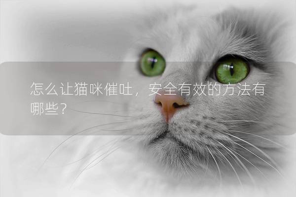 怎么讓貓咪催吐，安全有效的方法有哪些？