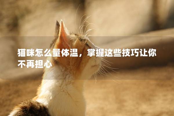 貓咪怎么量體溫，掌握這些技巧讓你不再擔心