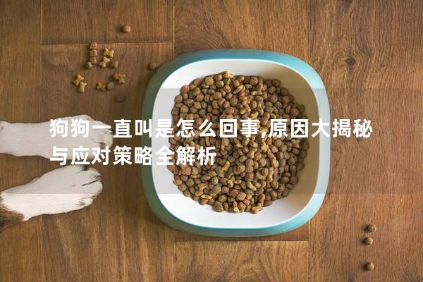 狗狗一直叫是怎么回事,原因大揭秘與應(yīng)對(duì)策略全解析