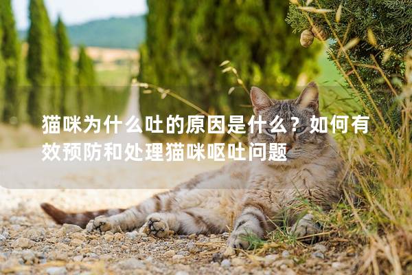 貓咪為什么吐的原因是什么？如何有效預防和處理貓咪嘔吐問題