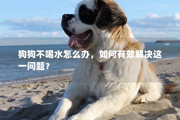 狗狗不喝水怎么辦，如何有效解決這一問(wèn)題？