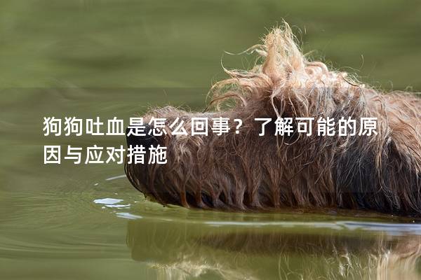 狗狗吐血是怎么回事?了解可能的原因與應(yīng)對措施 狗狗吐血是怎么回事?了解可能的原因與應(yīng)對措施
