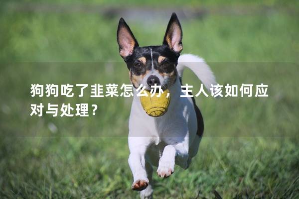 狗狗吃了韭菜怎么辦，主人該如何應對與處理？