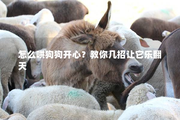 怎么哄狗狗開(kāi)心?教你幾招讓它樂(lè)翻天 怎么哄狗狗開(kāi)心?教你幾招讓它樂(lè)翻天