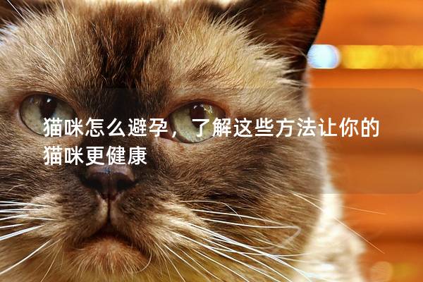 貓咪怎么避孕，了解這些方法讓你的貓咪更健康