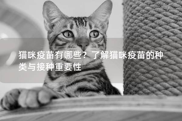 貓咪疫苗有哪些？了解貓咪疫苗的種類與接種重要性