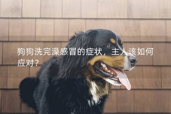 狗狗洗完澡感冒的癥狀，主人該如何應對？
