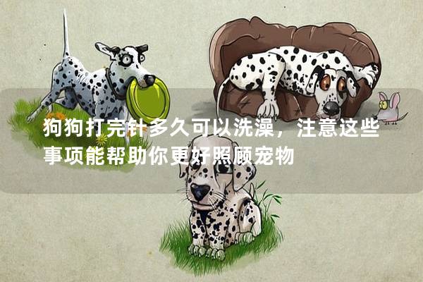 狗狗打完針多久可以洗澡，注意這些事項(xiàng)能幫助你更好照顧寵物