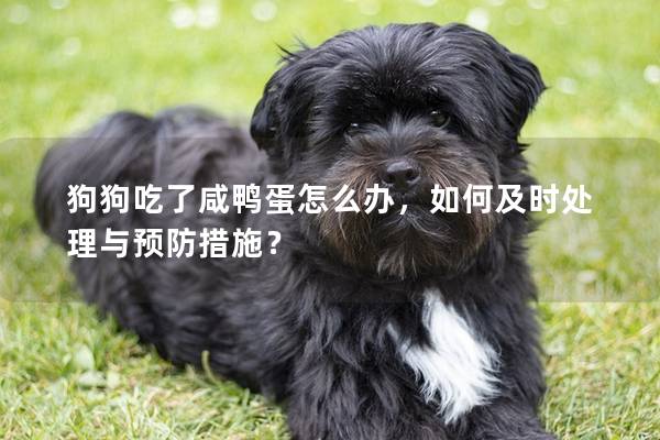 狗狗吃了咸鴨蛋怎么辦，如何及時處理與預防措施？