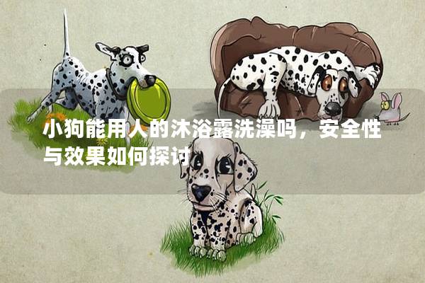 小狗能用人的沐浴露洗澡嗎，安全性與效果如何探討
