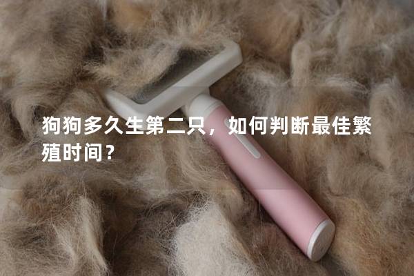 狗狗多久生第二只，如何判斷最佳繁殖時間？