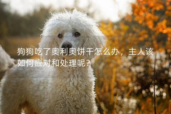 狗狗吃了奧利奧餅干怎么辦，主人該如何應對和處理呢？