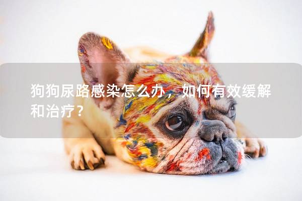 狗狗尿路感染怎么辦，如何有效緩解和治療？