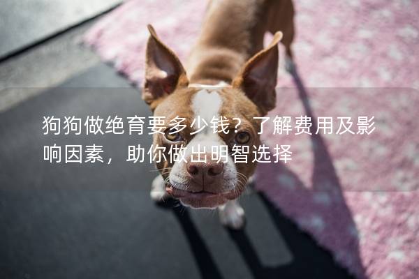 狗狗做絕育要多少錢?了解費用及影響因素,助你做出明智選擇 狗狗做絕育要多少錢?了解費用及影響因素,助你做出明智選擇