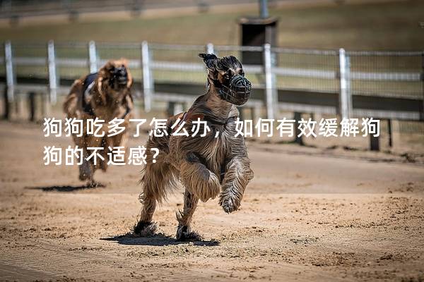 狗狗吃多了怎么辦，如何有效緩解狗狗的不適感？