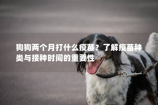 狗狗兩個月打什么疫苗？了解疫苗種類與接種時間的重要性