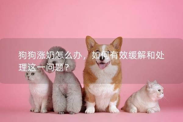 狗狗漲奶怎么辦,如何有效緩解和處理這一問題? 狗狗漲奶怎么辦,如何有效緩解和處理這一問題?