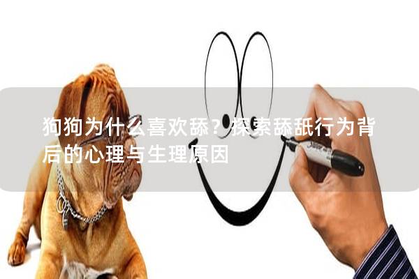 狗狗為什么喜歡舔？探索舔舐行為背后的心理與生理原因