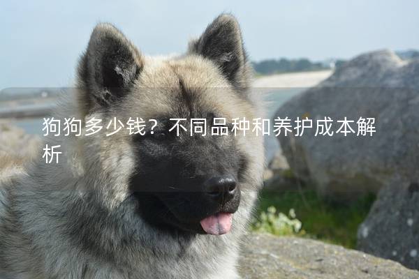 狗狗多少錢？不同品種和養(yǎng)護成本解析