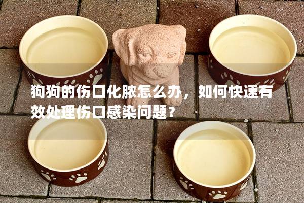 狗狗的傷口化膿怎么辦，如何快速有效處理傷口感染問題？