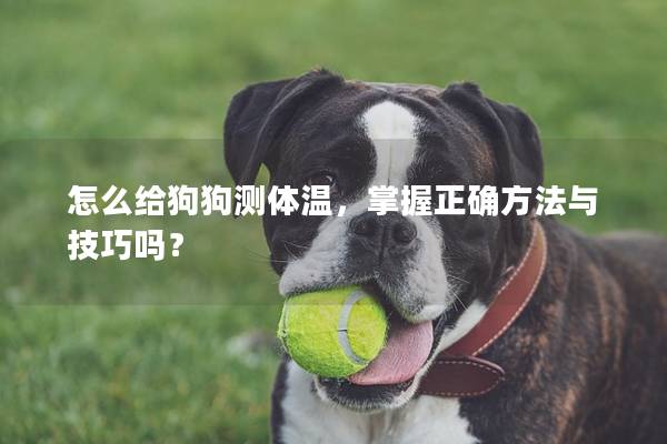 怎么給狗狗測體溫，掌握正確方法與技巧嗎？