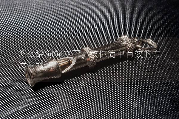 怎么給狗狗立耳，教你簡單有效的方法與技巧