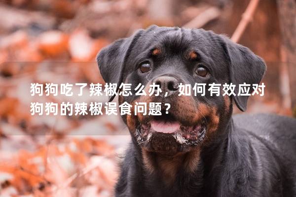 狗狗吃了辣椒怎么辦，如何有效應對狗狗的辣椒誤食問題？