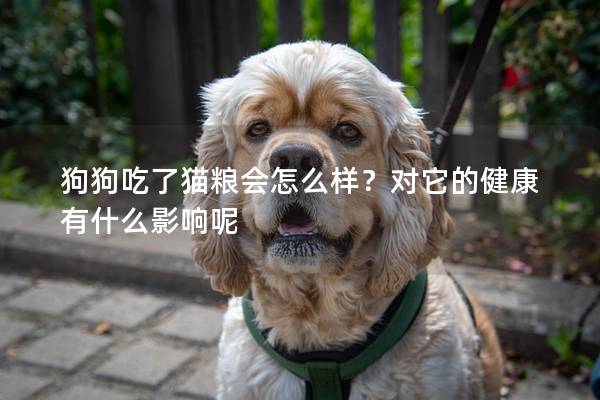 狗狗吃了貓糧會(huì)怎么樣?對(duì)它的健康有什么影響呢