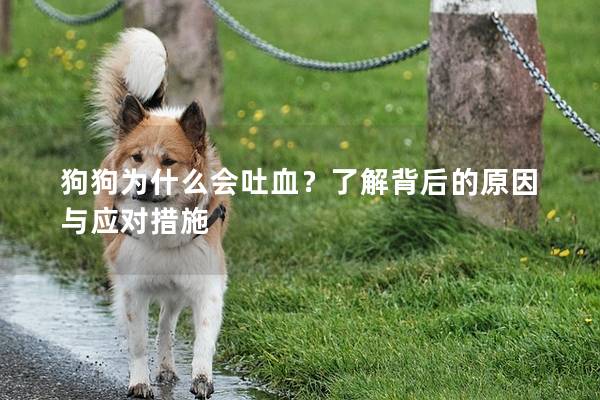 狗狗為什么會吐血？了解背后的原因與應對措施