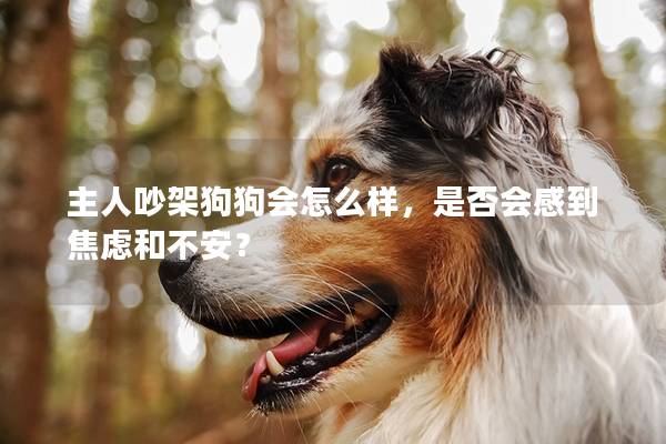 主人吵架狗狗會怎么樣，是否會感到焦慮和不安？