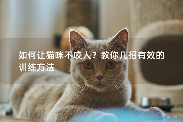 如何讓貓咪不咬人？教你幾招有效的訓(xùn)練方法